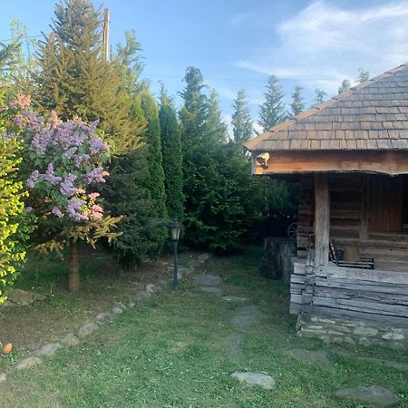 Satul Traditional Runcu  Dış mekan fotoğraf