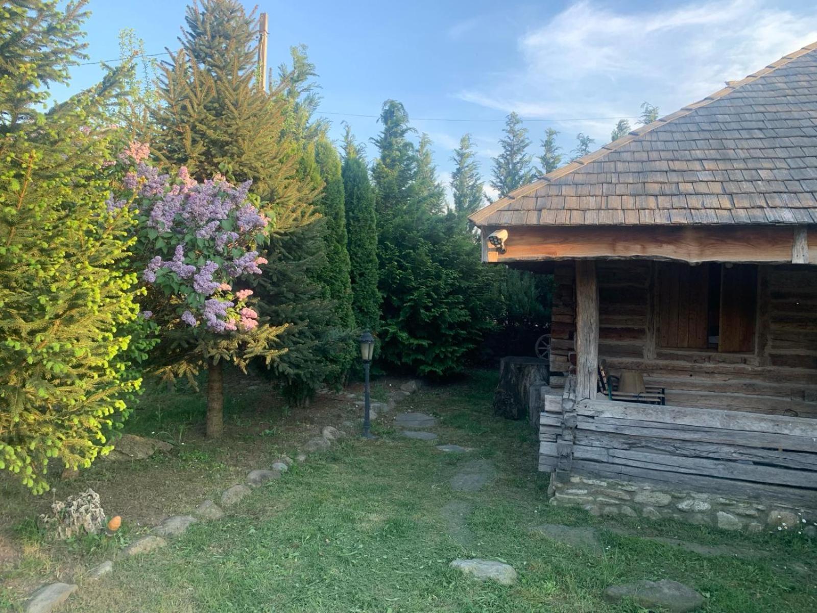 Satul Traditional Runcu  Dış mekan fotoğraf